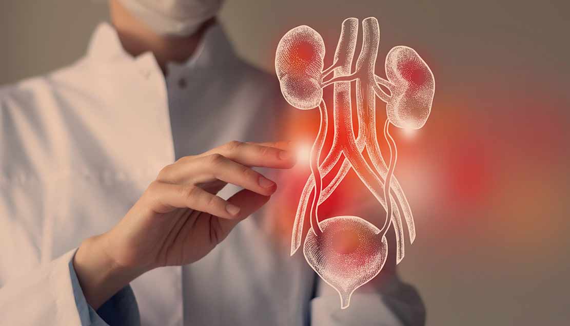 secil-infections